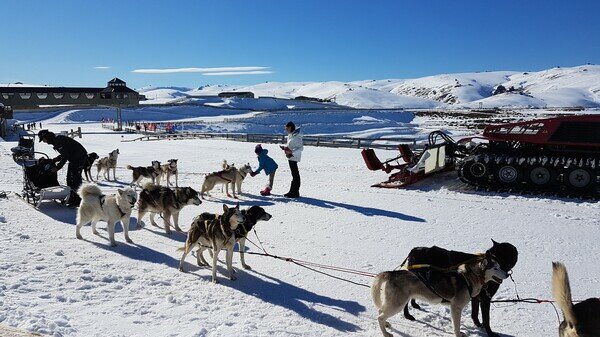 Mountain Transfers, Snow Farm